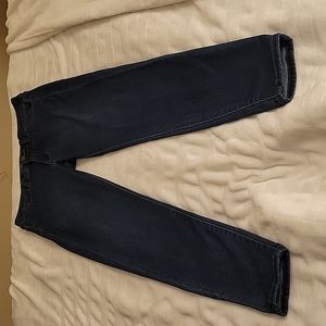 Just USA Marian High Rise Skinny Jean Size 28